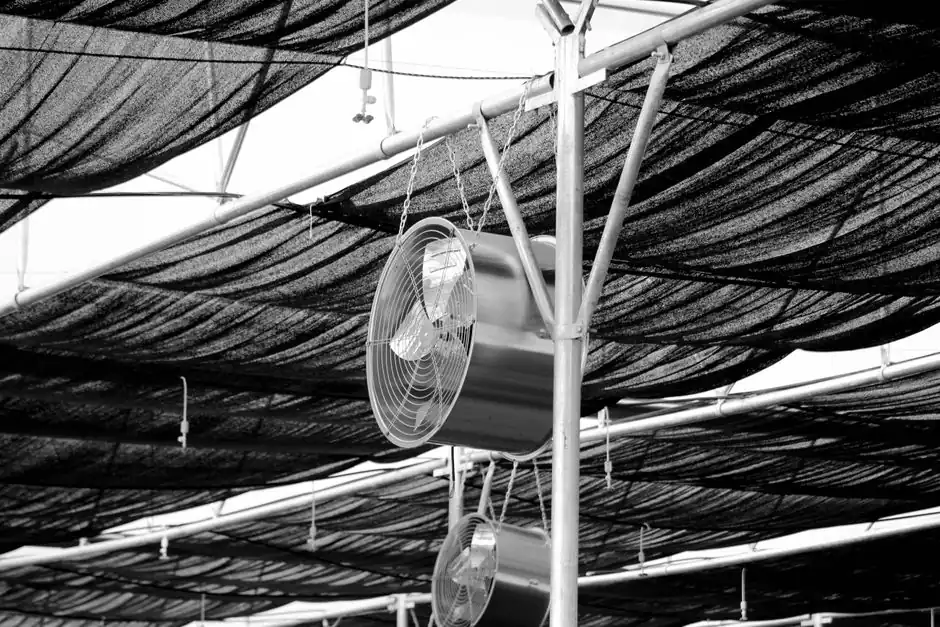 Professional Outdoor Ceiling Fan Installation in miami